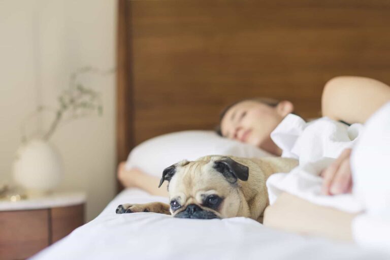 5 Sleep Specialists On What They Do When They Can\’t Fall Asleep